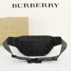バーバリーバッグコピー 大人気2022新品 BURBERRY 男女兼用 ウエストポーチ - 画像 (3)