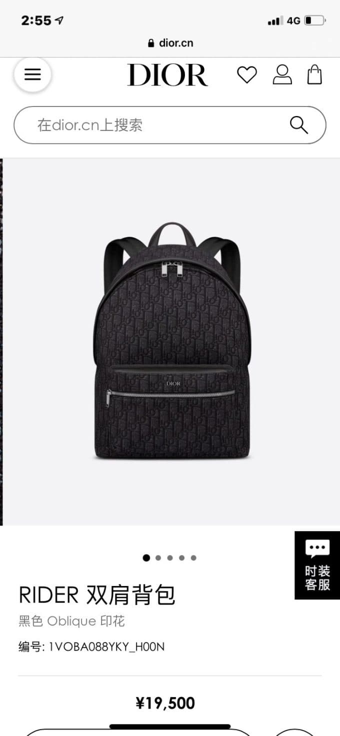 人気高級 ディオールバッグコピー 大人気2022新品 Dior メンズ バックパック - 画像 (2)