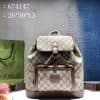 グッチバッグコピー 大人気2022新品 GUCCI 男女兼用 バックパック