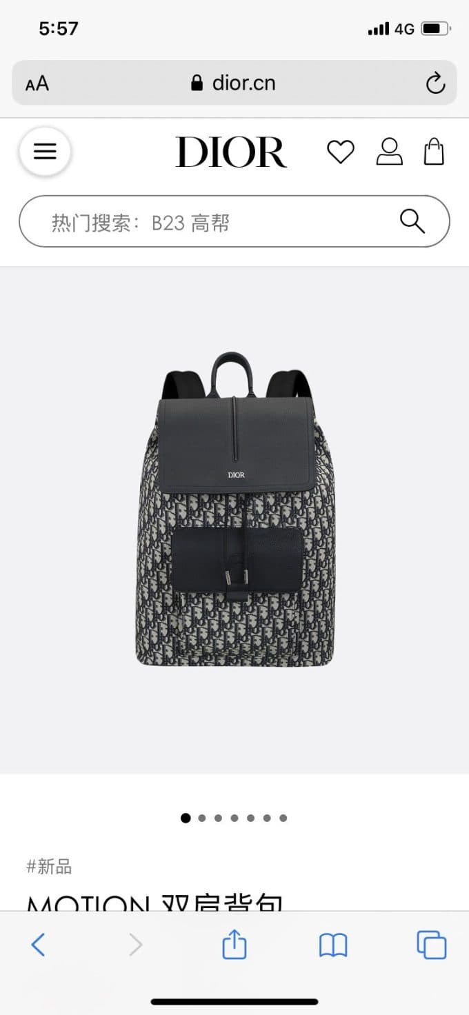 高品質 ディオールバッグコピー 大人気2021新品 Dior メンズ バックパック - 画像 (2)