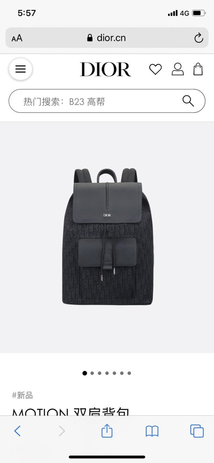 高品質 ディオールバッグコピー 大人気2021新品 Dior メンズ バックパック - 画像 (2)