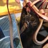 ルイヴィトンバッグコピー 大人気2020新品 Louis Vuitton レディース バケツバッグ - 画像 (2)