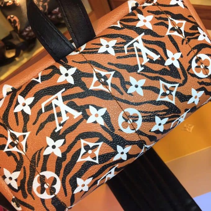 ルイヴィトンバッグコピー 2020新品注目度NO.1 Louis Vuitton レディース バックパック - 画像 (6)