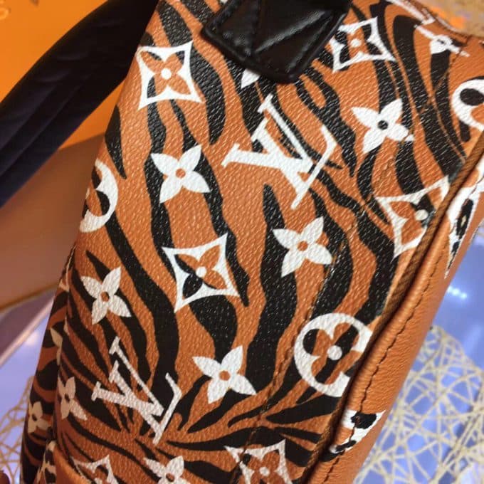 ルイヴィトンバッグコピー 2020新品注目度NO.1 Louis Vuitton レディース バックパック - 画像 (4)