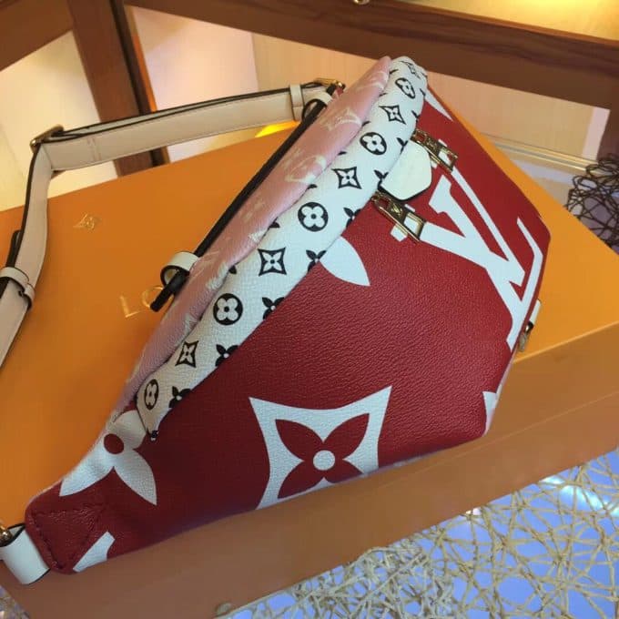 ルイヴィトンバッグコピー 2020新品注目度NO.1 Louis Vuitton レディース ウエストポーチ - 画像 (3)