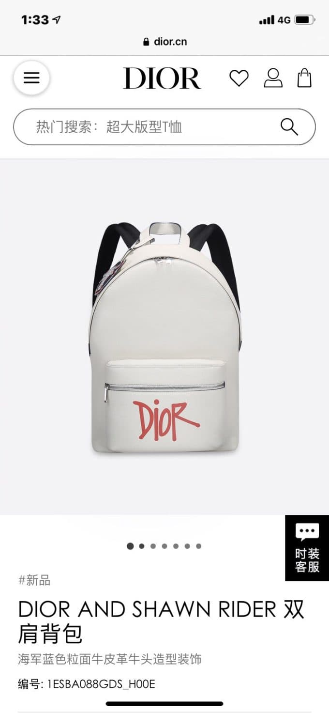 高品質 ディオールバッグコピー 定番人気2021新品 Dior メンズ バックパック - 画像 (2)