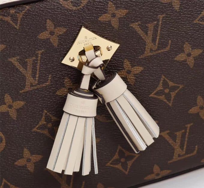 ルイヴィトンバッグコピー 2020新品注目度NO.1 Louis Vuitton レディース ショルダーバッグ - 画像 (5)