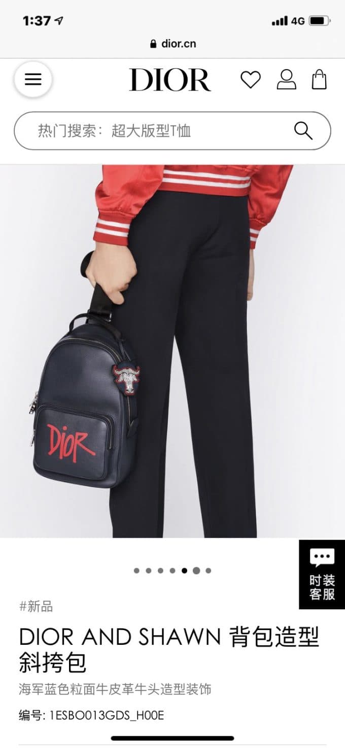 高品質 ディオールバッグコピー 2021新品注目度NO.1 Dior メンズ ボディバッグ - 画像 (2)