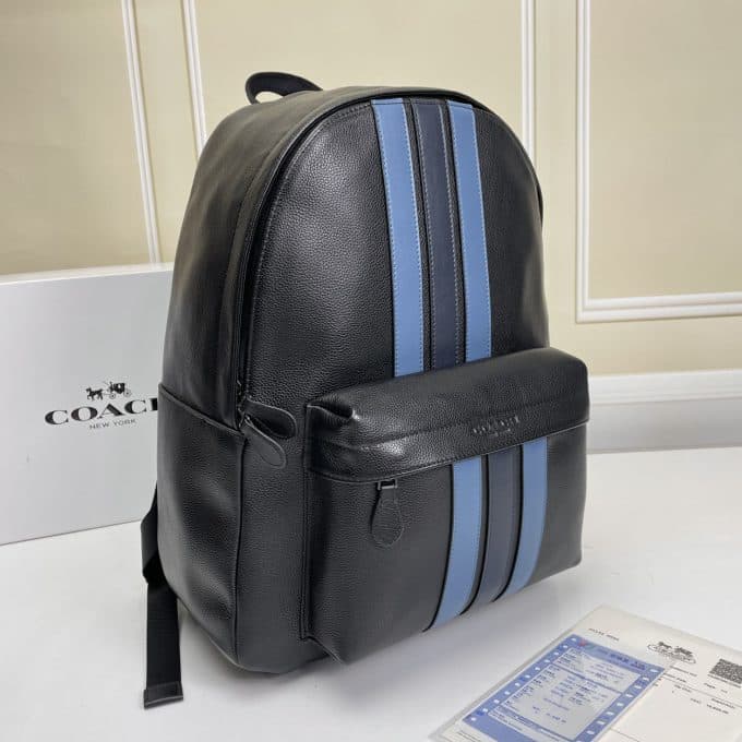 コーチバッグコピー 2021新品注目度NO.1 Coach メンズ バックパック - 画像 (3)