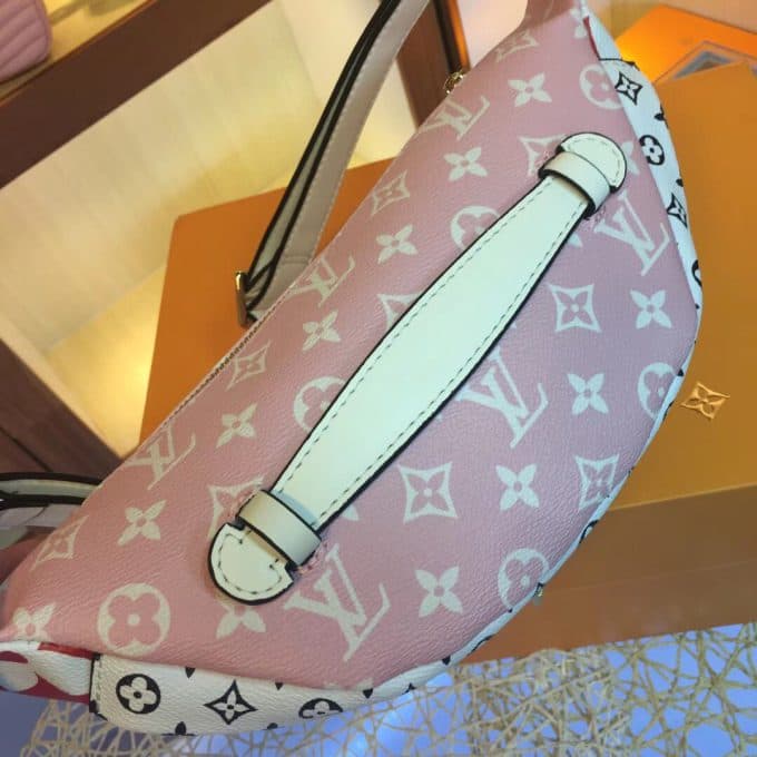 ルイヴィトンバッグコピー 2020新品注目度NO.1 Louis Vuitton レディース ウエストポーチ - 画像 (5)
