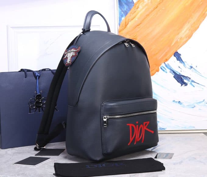 人気高級ディオールバッグコピー 大人気2021新品 Dior メンズ バックパック - 画像 (2)
