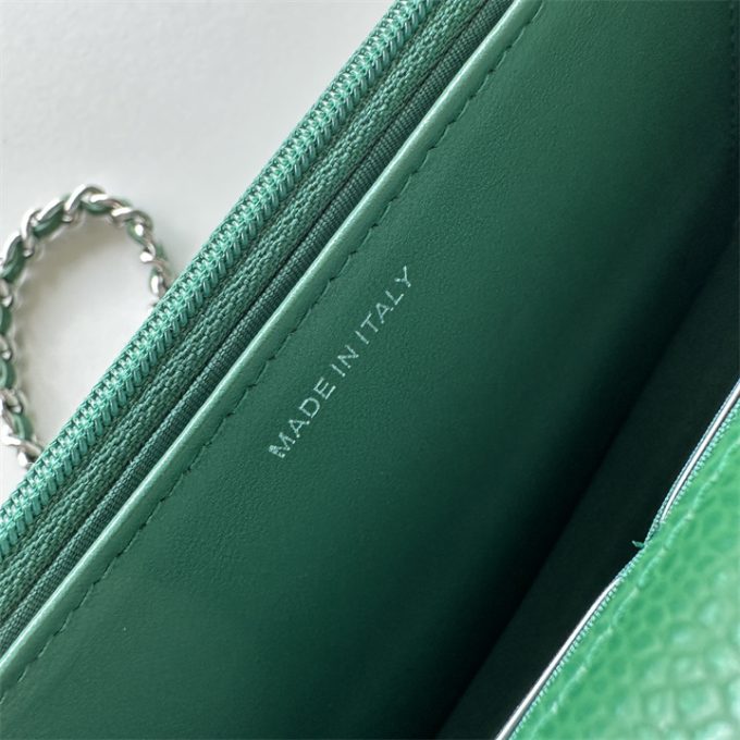 シャネル 2025年 チェーンウォレット CHANEL ミニ フラップバッグ ショルダーバッグ レディース シルバー金具 - 画像 (6)