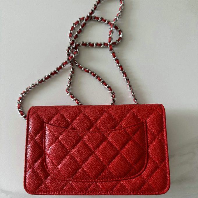 シャネル 2025年 チェーンウォレット CHANEL ミニ フラップバッグ ショルダーバッグ レディース シルバー金具 - 画像 (2)