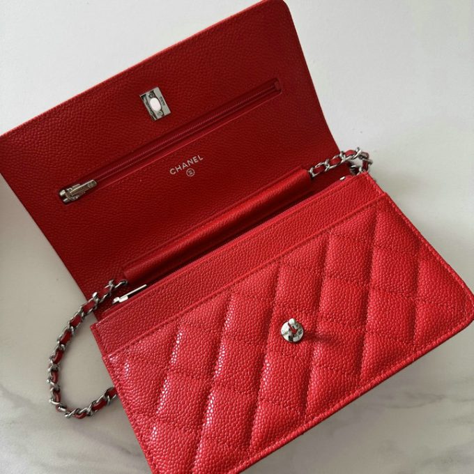 シャネル 2025年 チェーンウォレット CHANEL ミニ フラップバッグ ショルダーバッグ レディース シルバー金具 - 画像 (4)