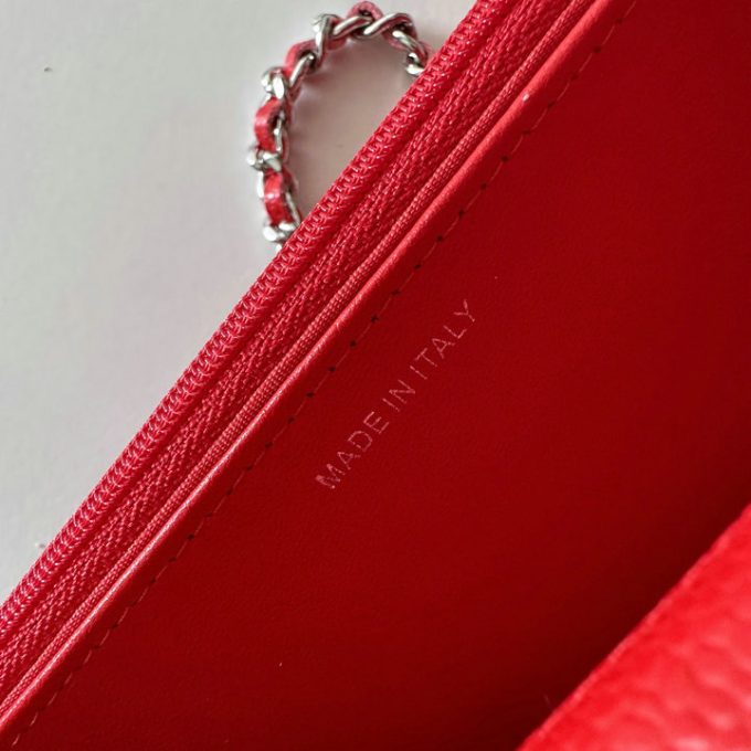 シャネル 2025年 チェーンウォレット CHANEL ミニ フラップバッグ ショルダーバッグ レディース シルバー金具 - 画像 (6)