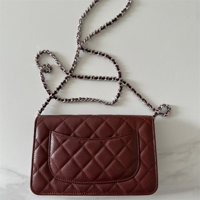 シャネル 2025年 チェーンウォレット CHANEL ミニ フラップバッグ ショルダーバッグ レディース シルバー金具 - 画像 (2)