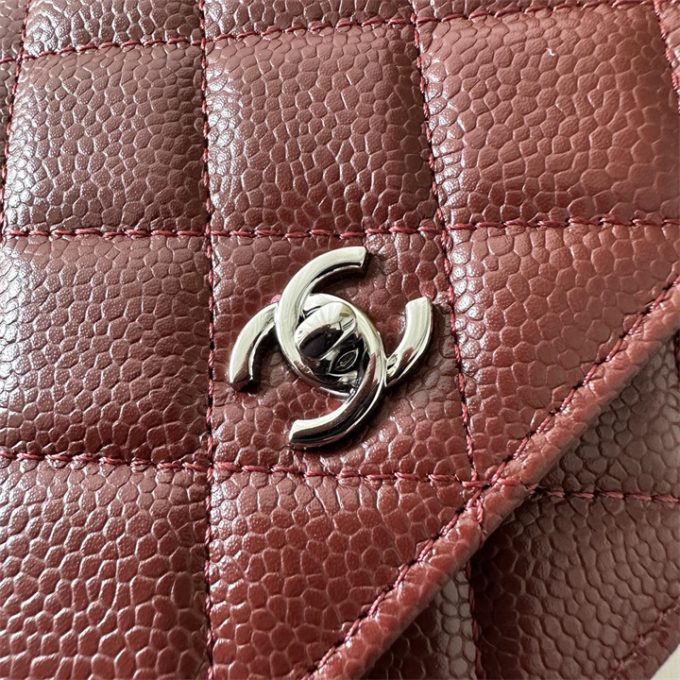 シャネル 2025年 チェーンウォレット CHANEL ミニ フラップバッグ ショルダーバッグ レディース シルバー金具 - 画像 (9)