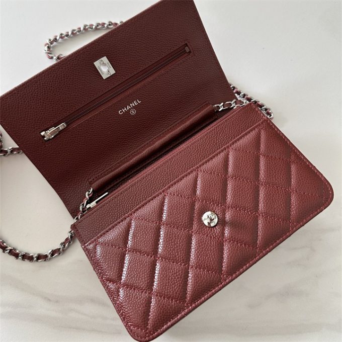 シャネル 2025年 チェーンウォレット CHANEL ミニ フラップバッグ ショルダーバッグ レディース シルバー金具 - 画像 (4)