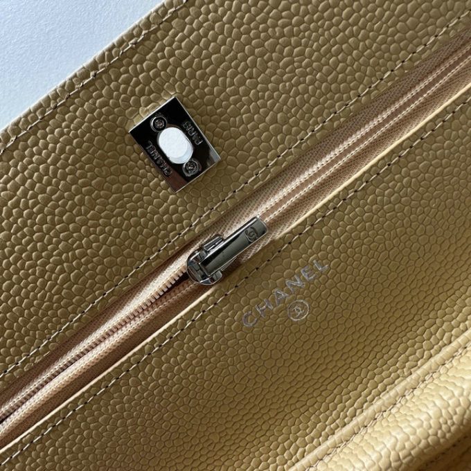 シャネル 2025年 チェーンウォレット CHANEL ミニ フラップバッグ ショルダーバッグ レディース シルバー金具 - 画像 (8)